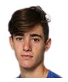 গুস্তাভো হাইডে